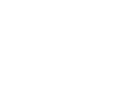Evolution games at Dream Palace Casino